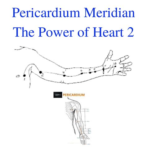 Pericardium Meridian. Discover The Power Of Heart 2