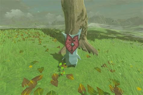 How many Korok Seeds are there in Tears of the Kingdom (TOTK)? - Dot ...