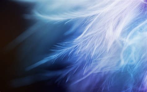 🔥 Free Download White Feather Closeup Wallpaper by @kgreene99 ...