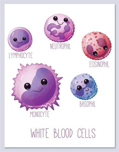 White Blood Cells / Wall art print / biology / cute / fun