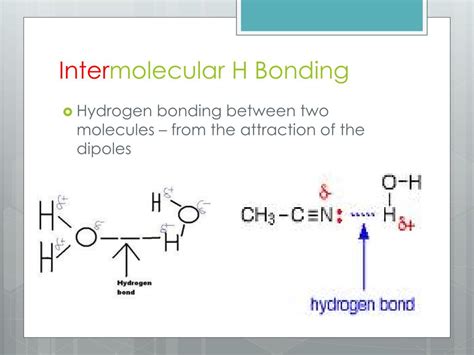 PPT - Hydrogen Bonding PowerPoint Presentation, free download - ID:3887591