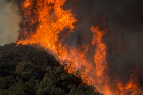 Joyce Norman Berita: Canadian Wildfires 2022