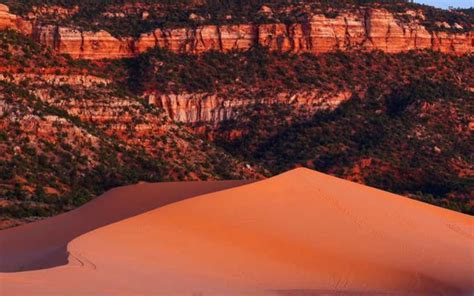 Kanab | Photo Gallery | 8 - Coral Pink Sand Dunes