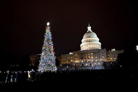 ‘Noble’ Christmas Tree Illumines Capitol Hill | USDA