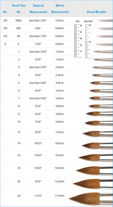 Watercolor Brush Size Chart - Round Brushes | Watercolor brushes, Best ...