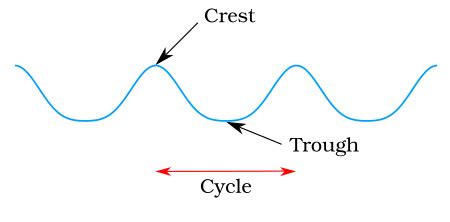 Crest and trough Facts for Kids