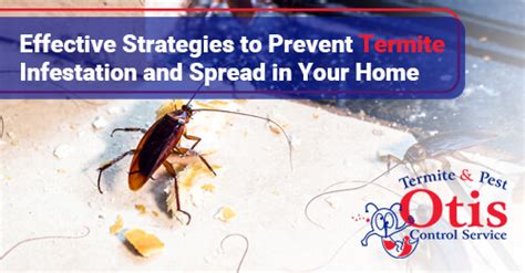 Effective Strategies to Prevent Termite Infestation and Spread in Your Home