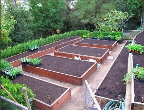 Free Vegetable Garden Layout, Plans and Planting Guides