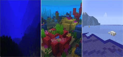 5 best ocean biomes in Minecraft