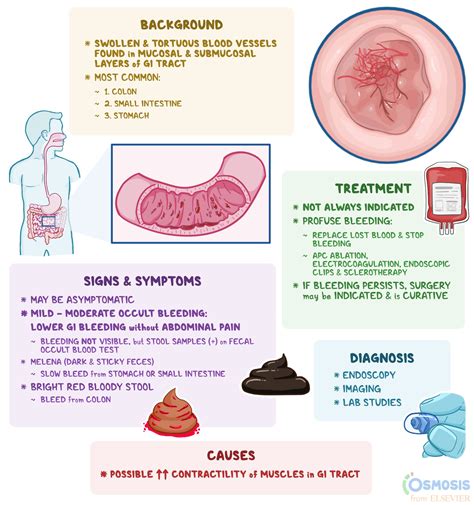 Angiodysplasia: What Is It, Causes, Symptoms | Osmosis