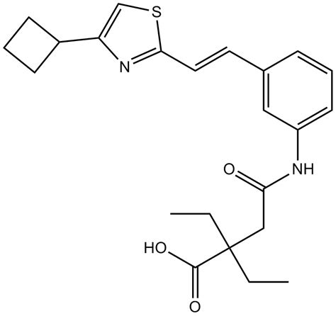 Leukotriene Receptor - GPCR/G protein - Signaling Pathways