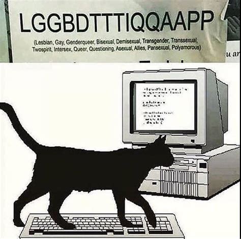 1884 best Keyboard Cat images on Pholder | Cats On Keyboards ...