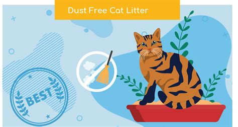 10 Best Dust Free Cat Litters In 2024 - Cats.com