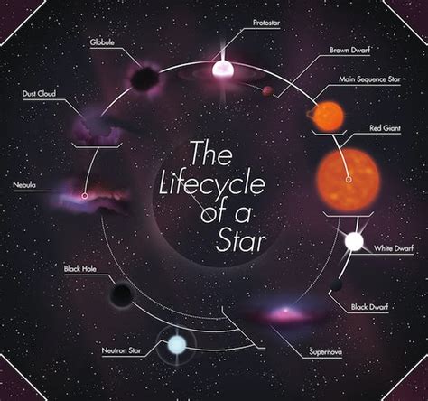 The Lifecycle of Stars – Hub of Hobbies