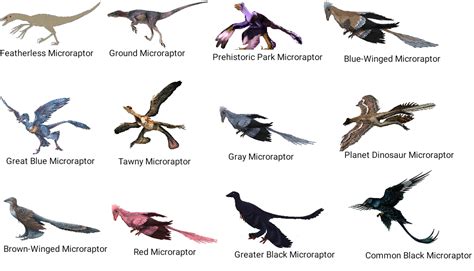 North American Microraptor Disaster | Fanon Wiki | Fandom