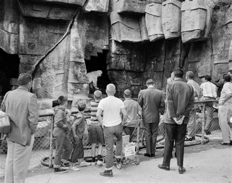 Griffith Park Zoo – The Great World Zoo That Never Was (1912-1966 ...