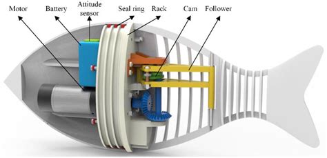 New Fish Inspired Robot Driven By Innovative Fin Design