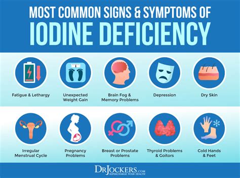 Iodine Deficiency: Risk Factors, Symptoms, and Solutions - DrJockers.com