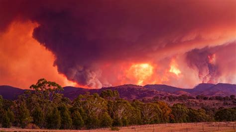 Student files climate change lawsuit against Australian government ...