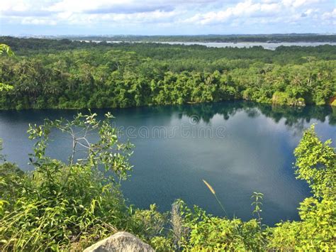 Pulau Ubin stock photo. Image of forest, nature, lowlands - 78493924