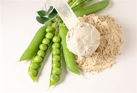 What’s Pea Protein? Everything You Need to Know | iwi life