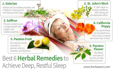 Best 6 Herbal Remedies To Achieve Deep Restful Sleep Herbazest