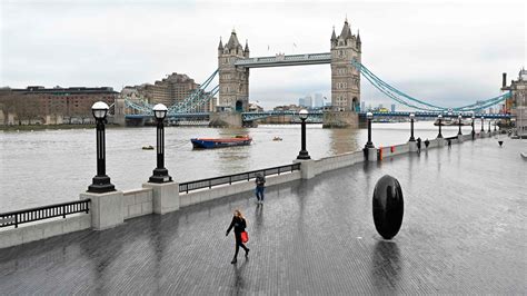 River Thames: Seals, seahorses returning to once polluted waters