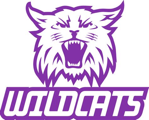 Weber State Wildcats Logo - Secondary Logo - NCAA Division I (u-z ...