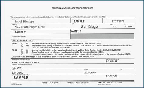 Printable Sr22 Form Colorado - Printable Forms Free Online