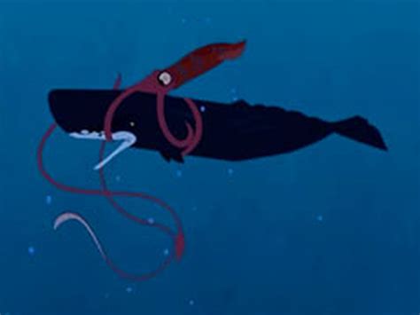 Sperm Whale vs. Giant Squid | Wild kratts, Whale, Animal habitats