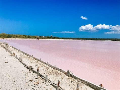 Finding Pink Lakes in Cabo Rojo: How to Visit the Salinas of Puerto ...