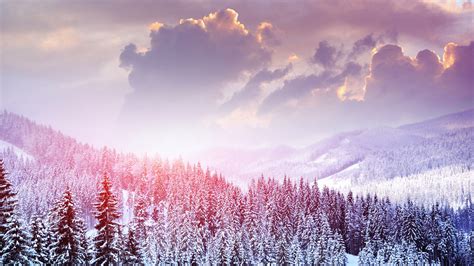 Snow Screensavers and Wallpaper (60+ images)