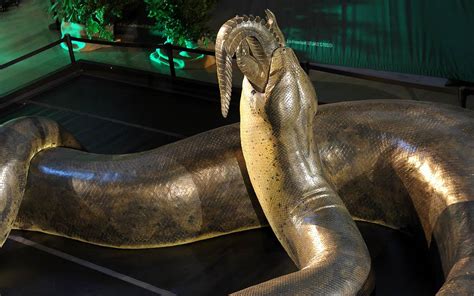 Titanoboa Snake Length