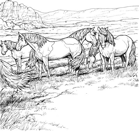 Free Printable Realistic Horse Coloring Pages Pdf - Coloringfolder.com ...