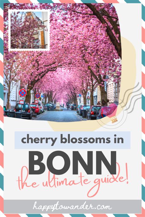 Where to Find Cherry Blossoms in Bonn, Germany [Photo Spots, Tips & More!]