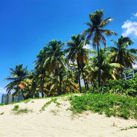 Isla Verde Beach, Puerto Rico. Palm trees | Travel beauty, Palm trees ...