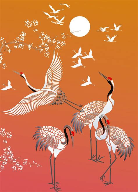 62 best images about Japanese cranes on Pinterest | Irish dance, All ...