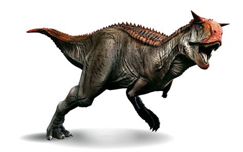 Carnotaurus sastrei | DinoAnimals.com