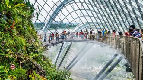 Cloud Forest Dome, Singapore: The multi-storey green wonderland that's ...