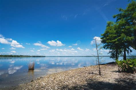 Lake Jesup Overlook Park Beach in Florida Stock Image - Image of ...