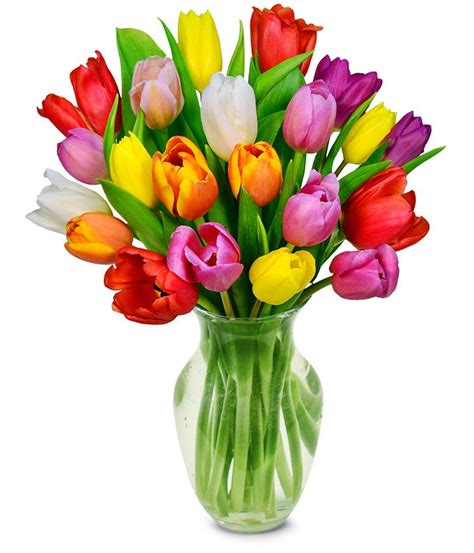 Rainbow Tulip Bouquet - 20 Stems at From You Flowers