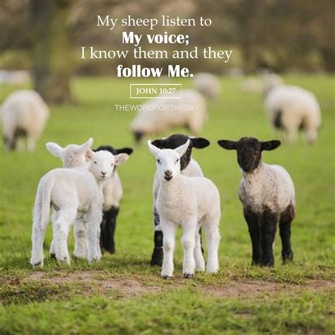 Quotes About Jesus Lamb - ADEN