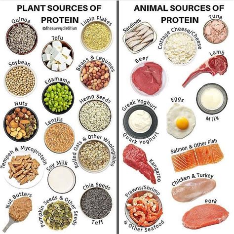 Meal Plan on Instagram: “PLANT PROTEIN SOURCES & ANIMAL PROTEIN SOURCES ...