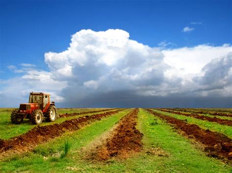 Agriculture Wallpaper Hd