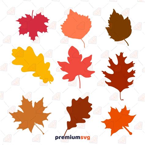 Ivy Leaf Svg | PremiumSVG