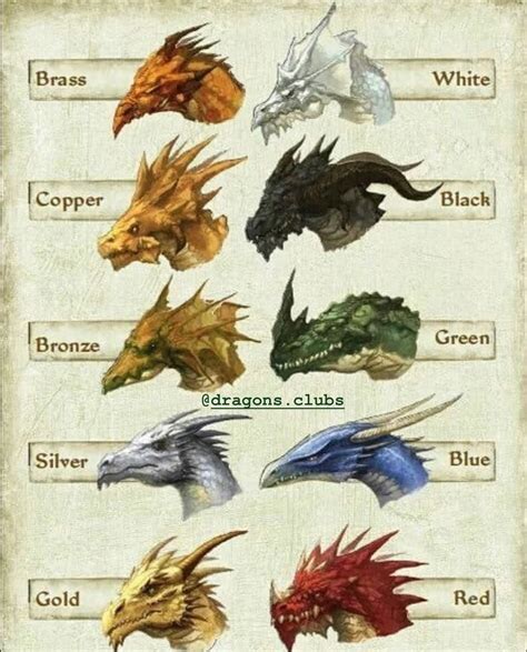 Découvrez les nouveaux Posters Dragons ! | Chromatic dragon, Dragon ...