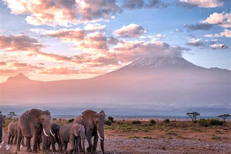 Traveling to Kenya? Don't miss out on these activities - Flamingo ...