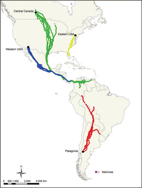 Breeding sites of the studied populations of turkey vultures Cathartes ...