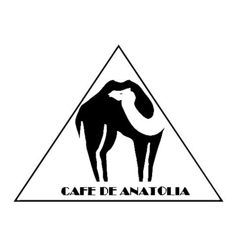 Cafe De Anatolia Music & Downloads on Beatport