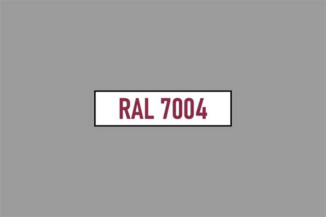 RAL 7004 - Szary sygnałowy (Signal grey)